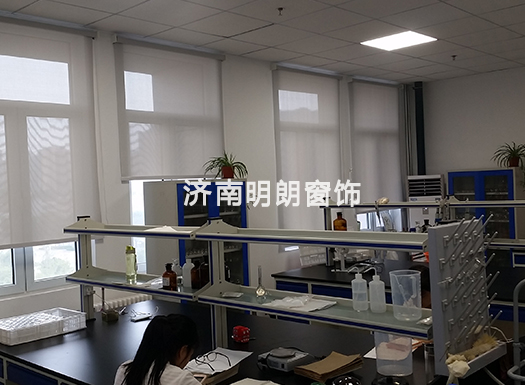 奶牛福利视频APP