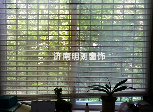 奶牛福利视频APP